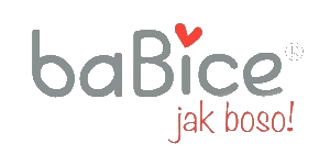 BaBice logo